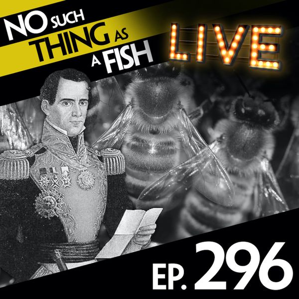Episode image