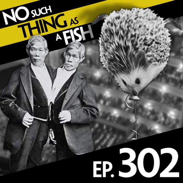 Episode image