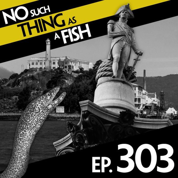 Episode image