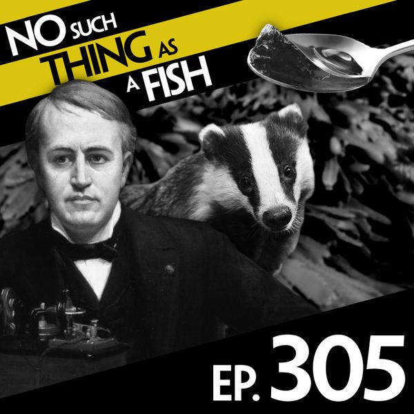 Episode image