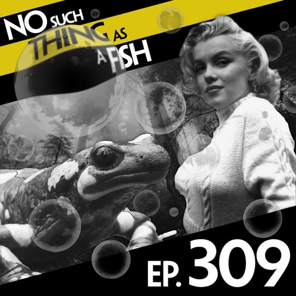 Episode image