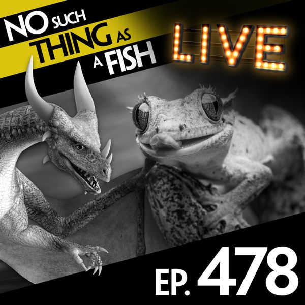 Episode image