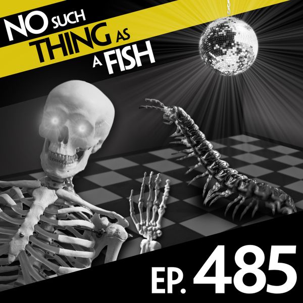 Episode image
