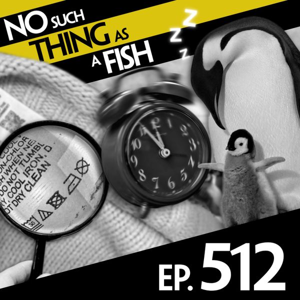Episode image