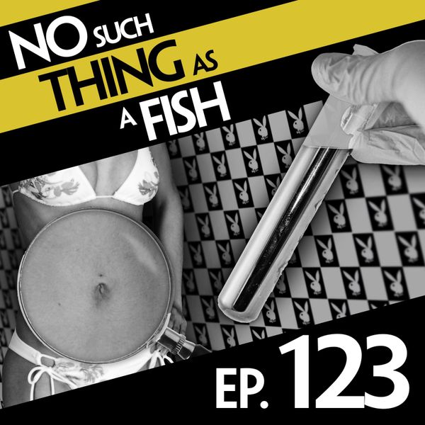 Episode image